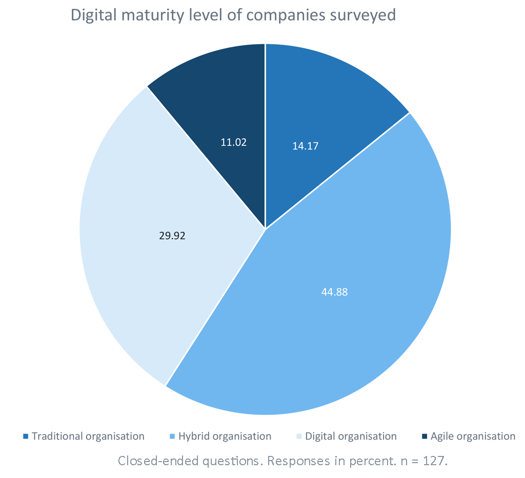 Digital maturity level of companies surveyed